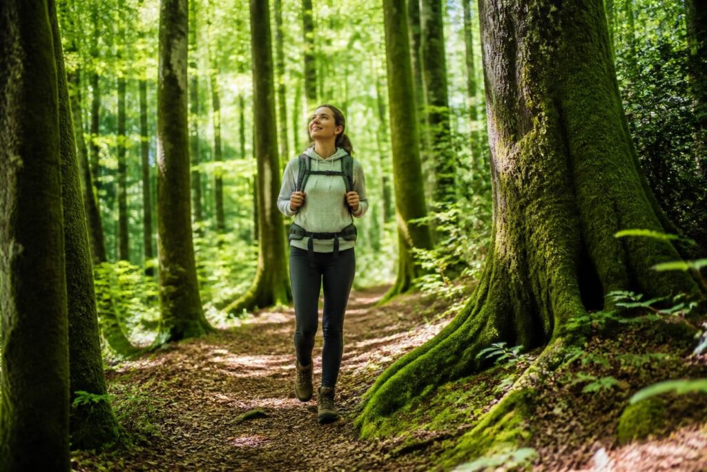 découvrez les bienfaits réels de la sylvothérapie en marchant dans la forêt vosgienne, une expérience apaisante pour le corps et l'esprit.